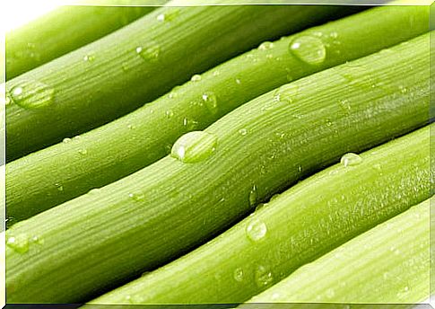 Celery for the kidneys.