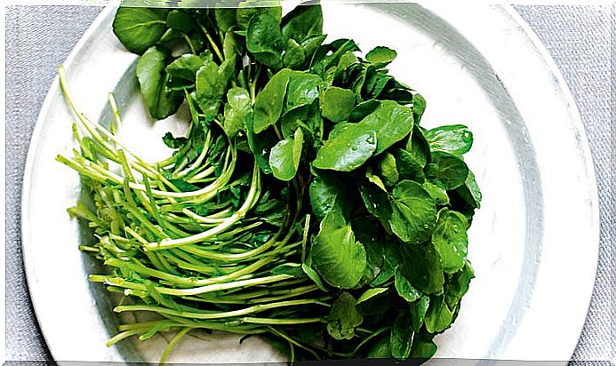 Watercress for the kidneys.