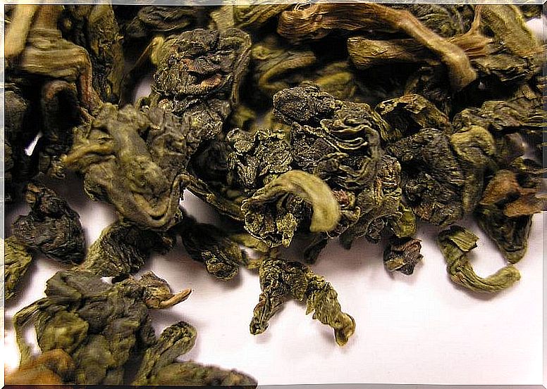 oolong tea, one of the types of tea with a fruit flavor