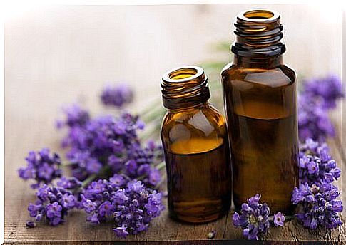 Lavender relieves migraines 