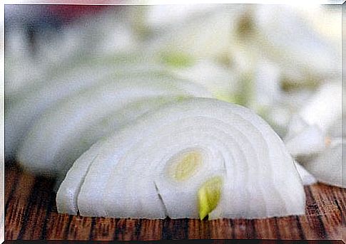 Onion-500x334