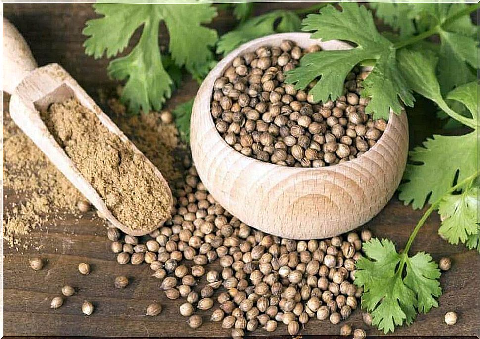 coriander seeds for heavy periods