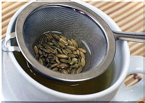 Fennel seeds in a cup