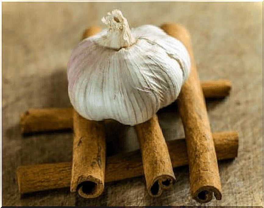 Garlic and cinnamon remedy for weight loss