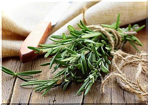 Benefits of rosemary in flavored oil.