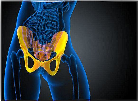 The causes of iliac sacrum pain.