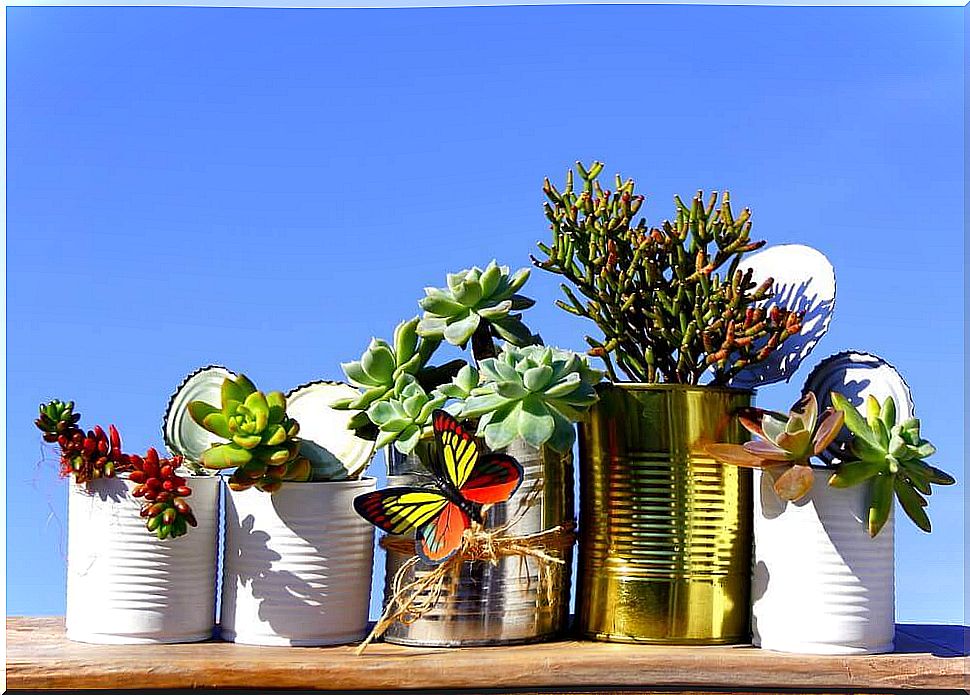 How to make your own pots and planters