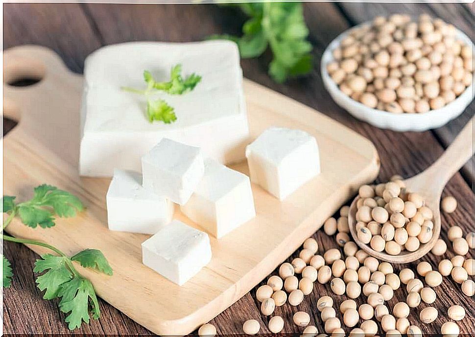 Soy contains protein of plant origin