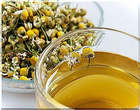 chamomile among the foods for good sleep