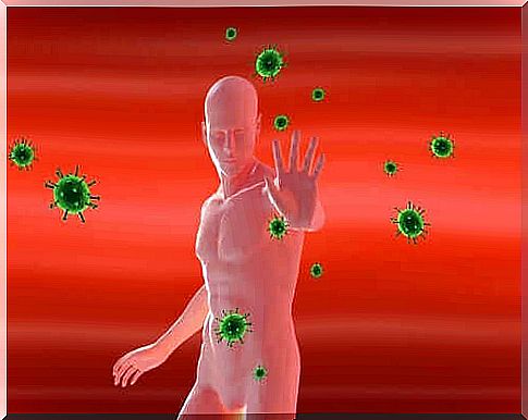 The immune system that fights viruses