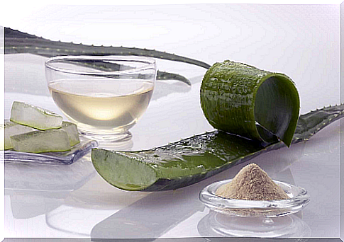 Aloe vera, one of the best plants for weight loss.