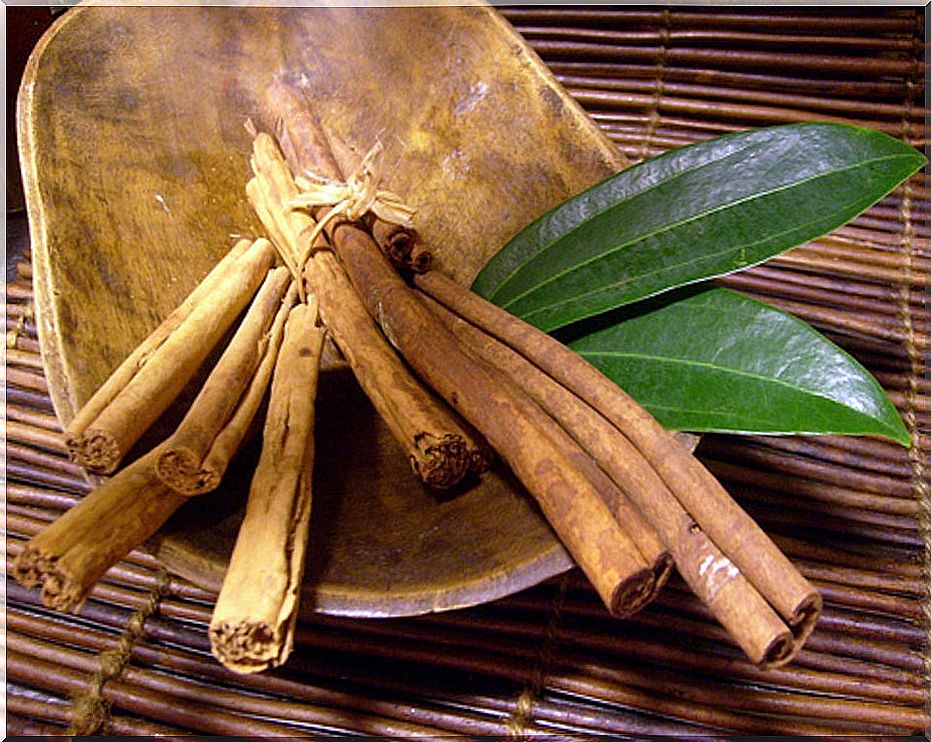 Cinnamon, one of the best plants for weight loss.