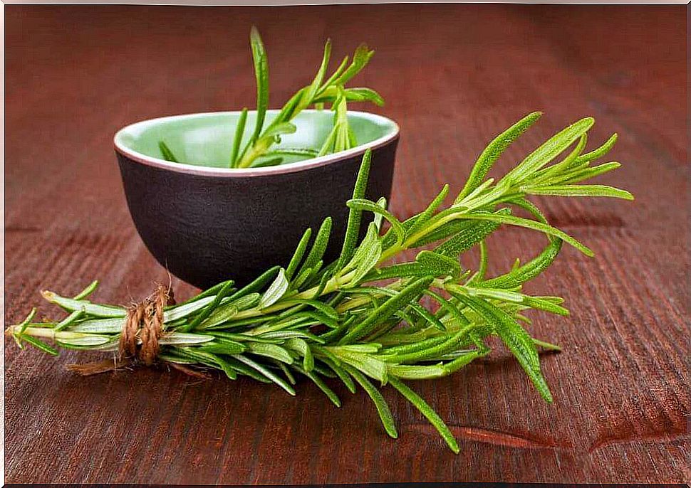 rosemary to treat arteriosclerosis